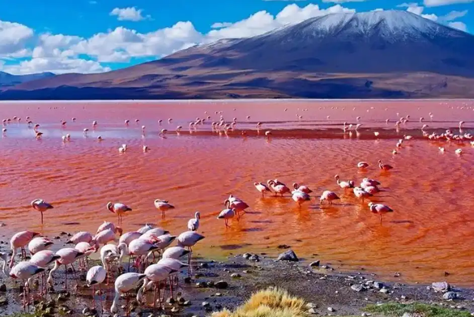 Lake Natron