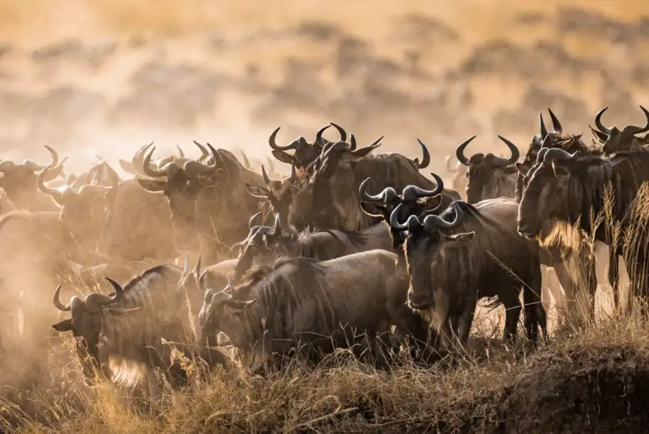 Serengeti National Park