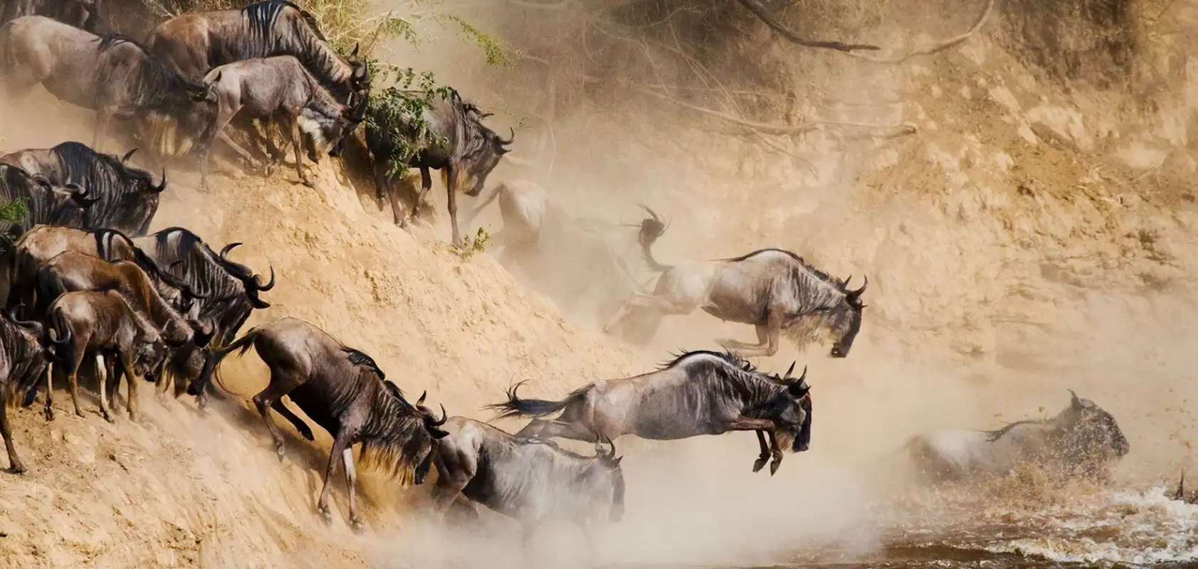 8 Days Great Wildebeest Migration Safari