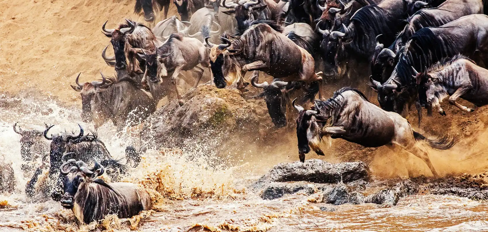 9 Days Wildebeest River Crossing Safari