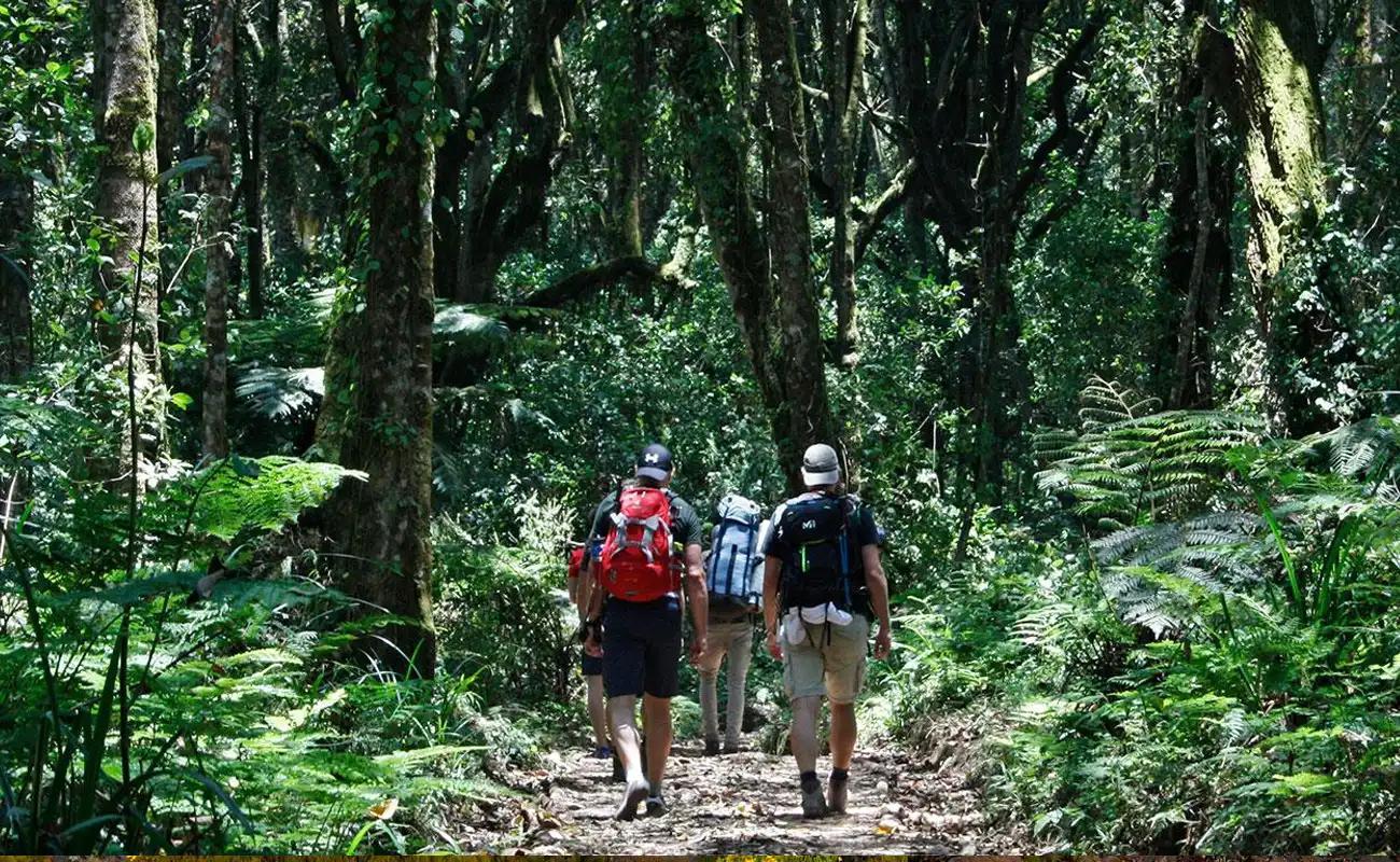 things to do in Kilimanjaro National Park